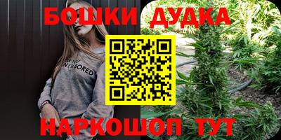 индика Донской
