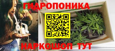 индика Донской