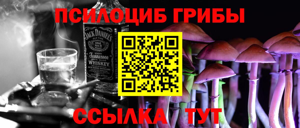 Галлюциногенные грибы Psilocybine cubensis  Вход с VPN  Конаково 